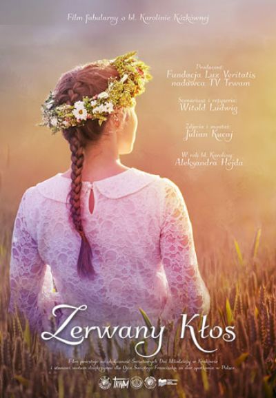 Zerwany Kłos (2017)