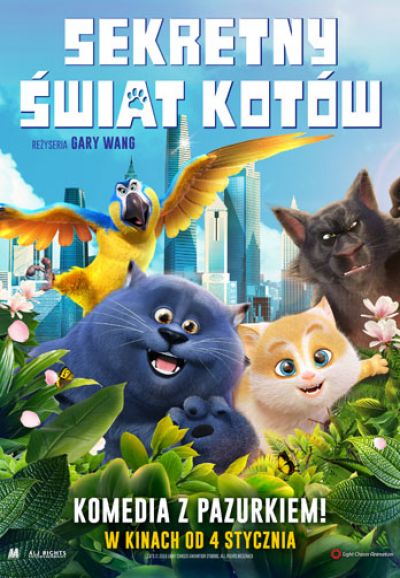 Sekretny świat kotów