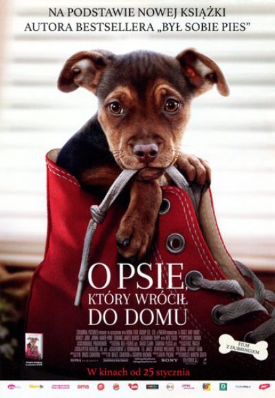 O psie, który wrócił do domu 