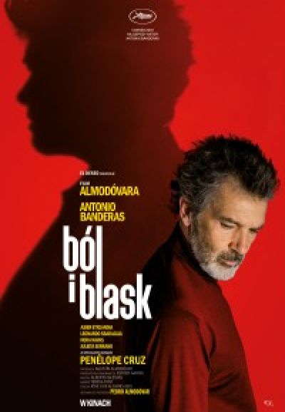 Ból i blask (2019)