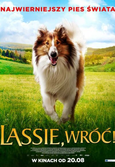 Lassie, wróć!