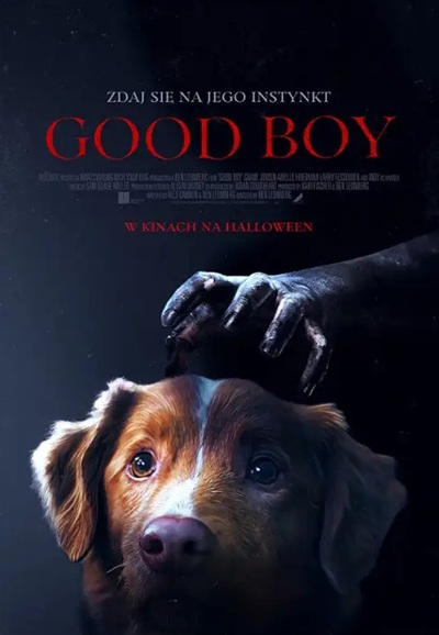 Good Boy